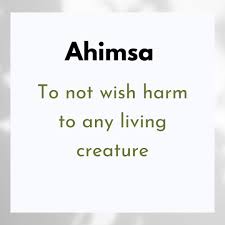 Damai Studio and Café - Ahimsa - The ...