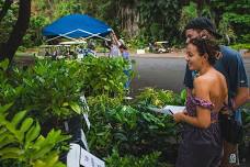 Plant Sale at Waimea Valley Nursery