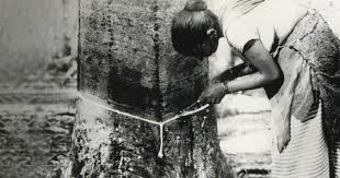 Japanese concurred malaya's economy and wealth. The Japanese Occupation Malayan Economy Before During And After Articles Economic History Malaya