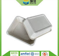 Sugarcane Bagasse Containers - China Sugarcane Bagasse ...