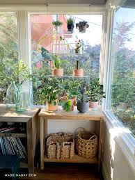 These acrylic shelves do bow a bit with the weight of the plants, but you can always buy. Catching Rays With Window Plant Shelves