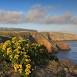 Santa Cruz Island