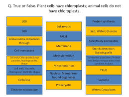 We did not find results for: 2 1 Cell Structure Microscopy 1 Follow Me Iquiz Ppt Download