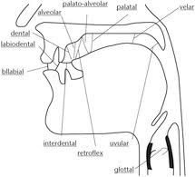 Each thing is a living speaking god, whether it speaks words or not. Dictionary The Cambridge Dictionary Of Linguistics