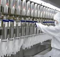 Latex Glove Production Line - Fengwang