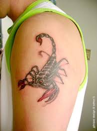 Some highly preferred body placements for scorpion tattoos are hand, neck, shoulder blade, shoulder, ankle, chest, and back. Red Scorpion Tattoo Scorpion Tattoo Tattoos Cool Tattoos