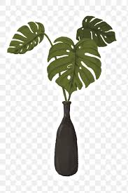 Download Premium Png Of Swiss Cheese Plant In A Vase Sticker 2023352 In 2020 Swiss Cheese Plant Plant Illustration Cheese Plant
