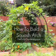 Article by a farmish kind of life. How To Build A Pvc Squash Cucumber Arch Plants Garden Vines Raised Garden