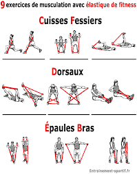Guide Gratuit Les 13 Erreurs De La Prise De Masse 60 De Commission Ebook 1 En 2020 Elastique De Musculation Exercice Musculation Exercice Renforcement Musculaire