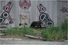 Full article: Decolonial Model of Environmental Management and  Conservation: Insights from Indigenous-led Grizzly Bear Stewardship in the  Great Bear Rainforest