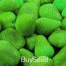Sale!50 Seed/bag Strawberry Fruit Green Strawberry Seeds Bonsai Plants Rare  Species Of Fruits And Vegetables,#cfjn26 - Bonsai - AliExpress