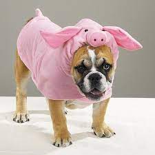 Piggy Pooch Pet Costume Cute Dog Costumes Dog Costumes Funny Pig Dog