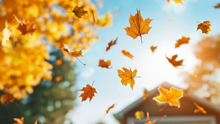 Fall" Or "Autumn" - Which Is Correct? And Why? | IFLScience