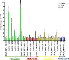 , abc news •february 21, 2015. Frontiers Abc Transporter Genes Show Upregulated Expression In Drug Resistant Clinical Isolates Of Candida Auris A Genome Wide Characterization Of Atp Binding Cassette Abc Transporter Genes Microbiology