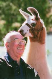 The War Years In Chandler's Ford 1939