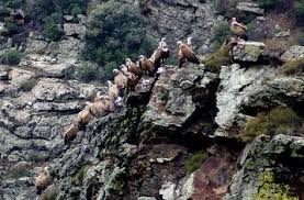 Los Arribes Del Duero Zamora Salamanca Lugares De Espana Viajes Parques Naturales