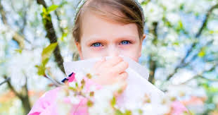 Susan C. Beaven, Family Practitioner in St. Petersburg, Florida, 33710