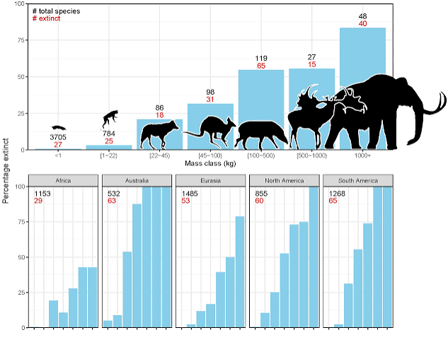 The evidence is mounting: Humans were responsible for the extinction of  large mammals