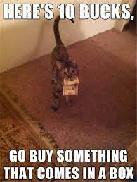 21 animal memes that are so relatable, they'll give you a gigglegasm. 30 Funny Animal Memes You Ll Be So Glad To See Sayingimages Com