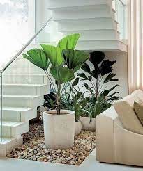Plant whisperer jason chongue has been passing on his knowledge to abc everyday for a series on indoor plants. 21 Under Stairs Pebble Garden Ideas
