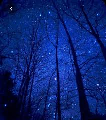 Pin By Mimo On Buenas Noches Blue Aesthetic Dark Blue Aesthetic Blue Aesthetic Pastel