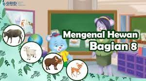 Mengenal Hewan Berbagai Fakta Dan Contoh Hewan Berkaki Empat Kids