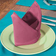 With hemmed edges and a seamless. Intedge Mauve 100 Polyester Cloth Napkins 20 X 20 12 Pack
