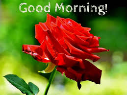I love writing javascript and ruby. 50 Beautiful Good Morning Images Hd 1080p Download