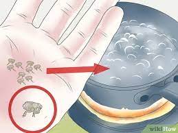 They are prone to frequent accidents and cannot usually make it through the night without urinating. How To Get Rid Of Fleas On A Puppy Too Young For Normal Medication