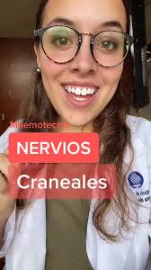 Understanding the Origin of Cranial Nerves