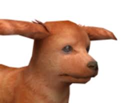 Males are black and tan dapple. Miniature Dachshund Nintendogs Wiki Fandom