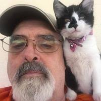 Ward Madden Obituary (1957