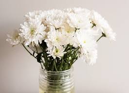 9) i picked up the vase carefully, so as not to break it. 5 Long Lasting Flowers You Can Buy At The Grocery Store