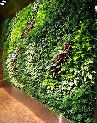 Amex Lounge At Mccarran Airport Gsky Plant Systems Inc Yellow Boat Social Entrepreneurism Plants Living Green Wall Airport Lounge