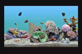 20 Roku Hacks To Make Your Life Easier In 2021 Marine Aquarium Coral Aquarium Aquarium