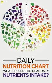 Sports Nutrition Chart What To Include In Your Diet