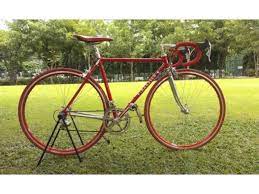 1984 pinarello treviso