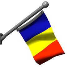 You can put your own picture or words on the flag, and animate it as a gif. Romania Gif Find On Gifer