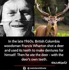 Francis Wharton, often referred to as “The Backwoods Wizard,” was a  resourceful hunter and inventor living near Little Fort, British Columbia,  in the mid-20th century (1950s–1960s). He is documented as having created