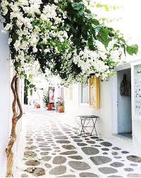 Fleurs Blanches La Liste Des 30 Plus Belles Varietes De Fleurs Blanches Bougainvillier Voyage En Grece Voyage