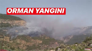 Mersin haber sayfamızda mersin haberleri okuyabilir, mersin son dakika haberleri ve güncel mersin gelişmelerini görebilirsiniz. Mersin Silifke Mut Yolu Kargicak Koyu Cikisi Orman Yangini Meydana Geldi Mersin Haber