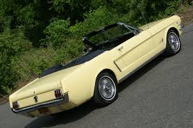 Image result for Sunlight Yellow 1964 Mustang
