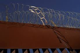 Nearly 11,000 migrants deported from US to Mexico since Trump took office |  Reuters