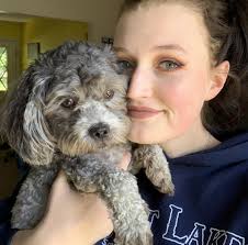 Dealing with unpaid invoices from pet care clients