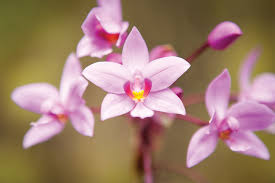 We did not find results for: How To Celebrate Mother S Day Alone Military Com