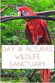 Dominical Alturas Wildlife Sanctuary Wildlife Sanctuary Wildlife Animal Sanctuary