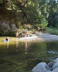 Follow this link and let our friends at hipcamp hook you up. From Whales To Wildflowers 5 Spring Trips In The Redwoods Save The Redwoods League