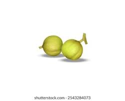 Image result for Croton megalobotrys