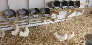 New flock owners are always on the hunt for creative chicken nesting box ideas, so we asked our backyard poultry readers to share their suggestions, pictures, and advice! Re Purposing Buckets Into Chicken Nesting Boxes