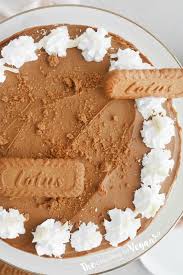 Vegan Lotus Biscoff Cheesecake Recipe Biscoff Cheesecake Cheesecake Recipes Vegan Desserts